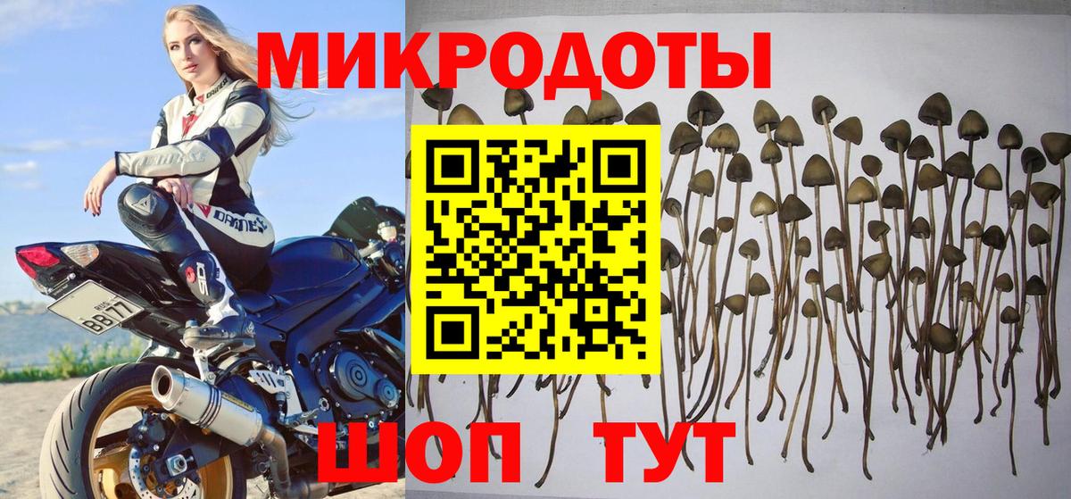 Кыштым  Галлюциногенные грибы MAGIC MUSHROOMS  Вход с VPN 