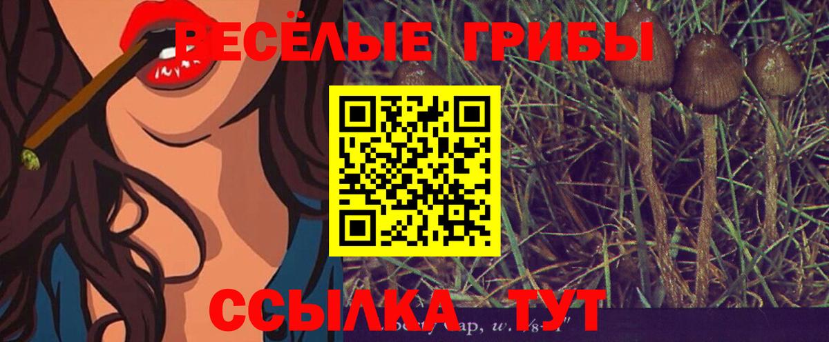 Псилоцибиновые грибы мицелий Кыштым