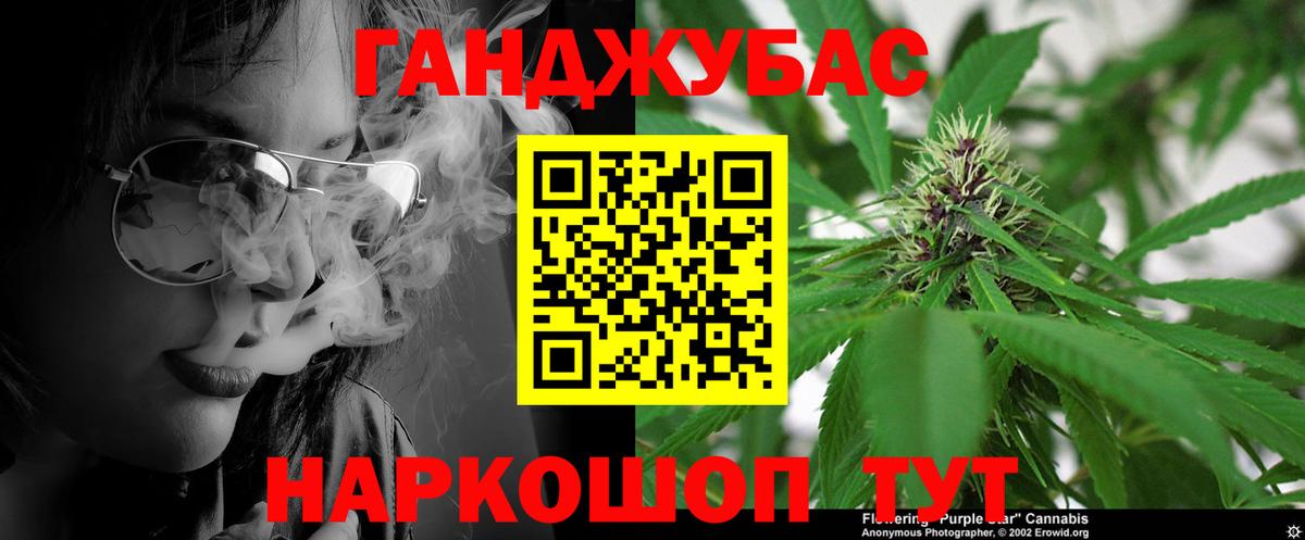 Конопля гибрид Кыштым